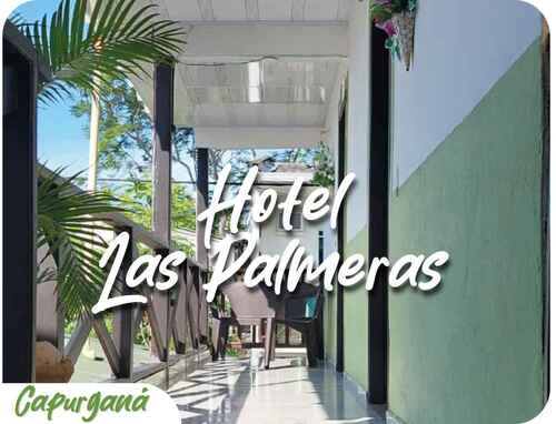 HOTEL PALMERAS