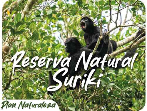Plan Naturaleza - Reserva Natural Surikí