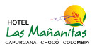 Hotel Mañanitas