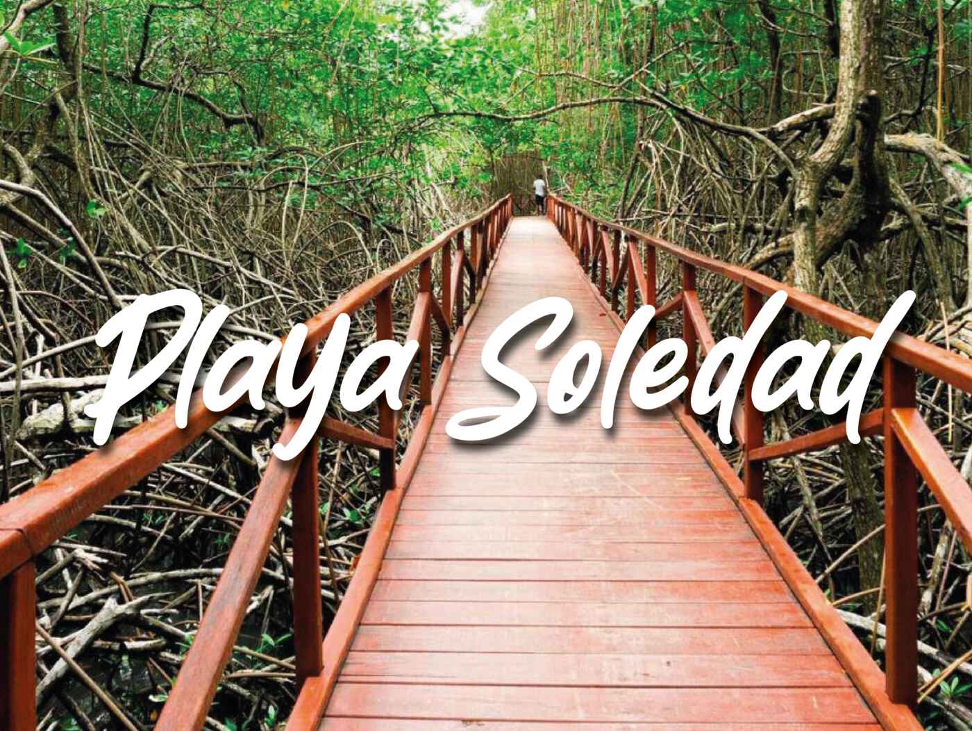 Playa Soledad