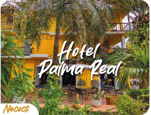 Imagen de Hotel Palma Real