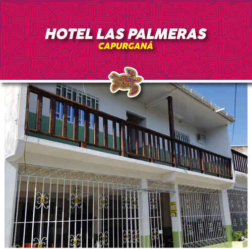 Imagen de HOTEL LAS PALMERAS