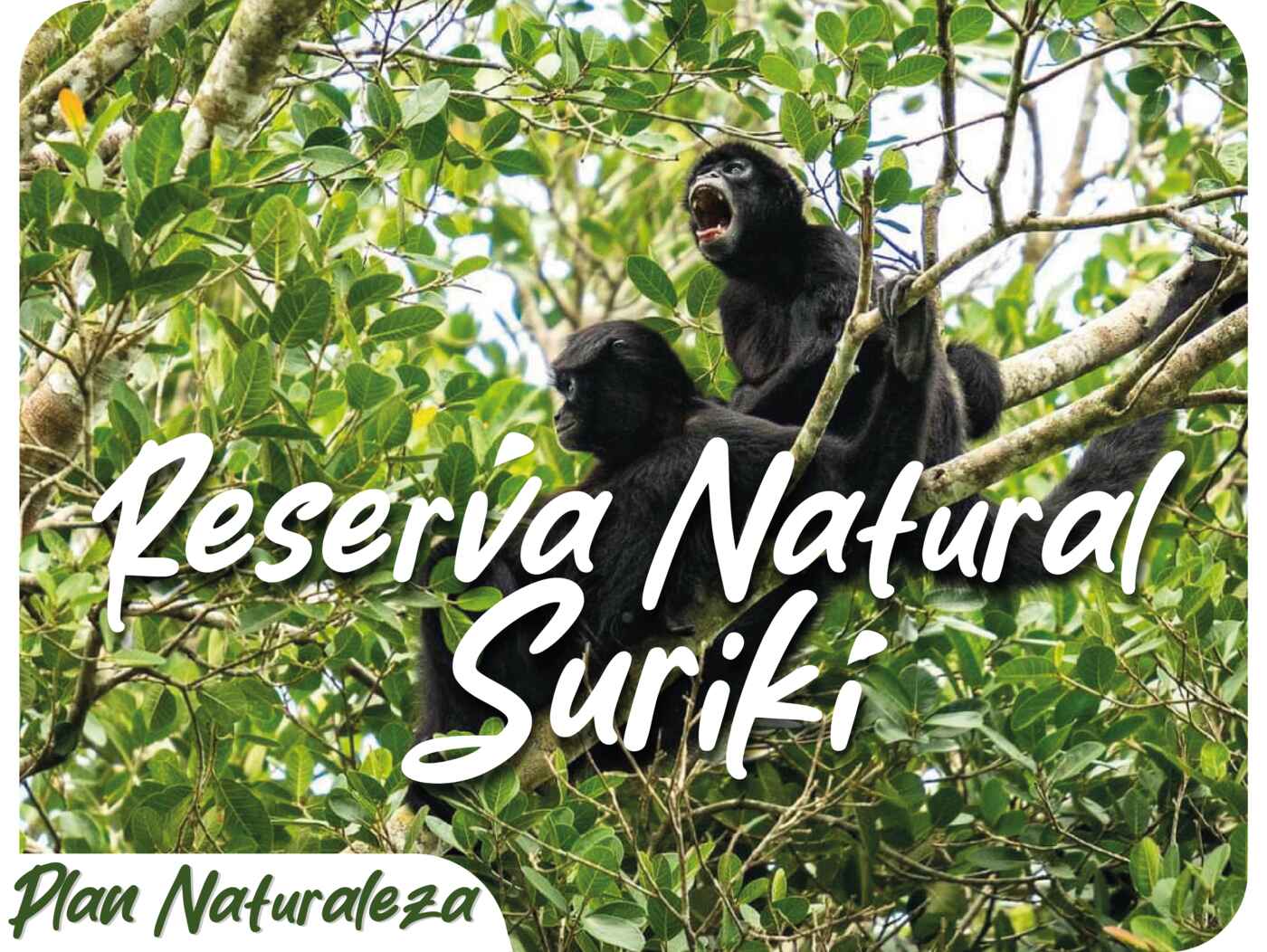 Plan Naturaleza - Reserva Natural Surik